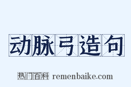 动脉弓造句是什么意思的图片